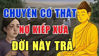 Nhân Quả Báo Ứng: Nợ Duyên, Nợ Hiếu, Nợ Đời – Đến Lúc Phải Trả