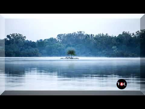 No Need To Beg Pardon  - Velvet Moon