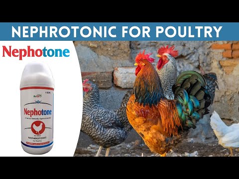 Nephrocare liquid tonic for chicken, chick, birds, growers, ...