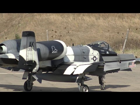 Arctic Warthog A-10 RC Scale Twin Turbine Model Jet Luca di Santo