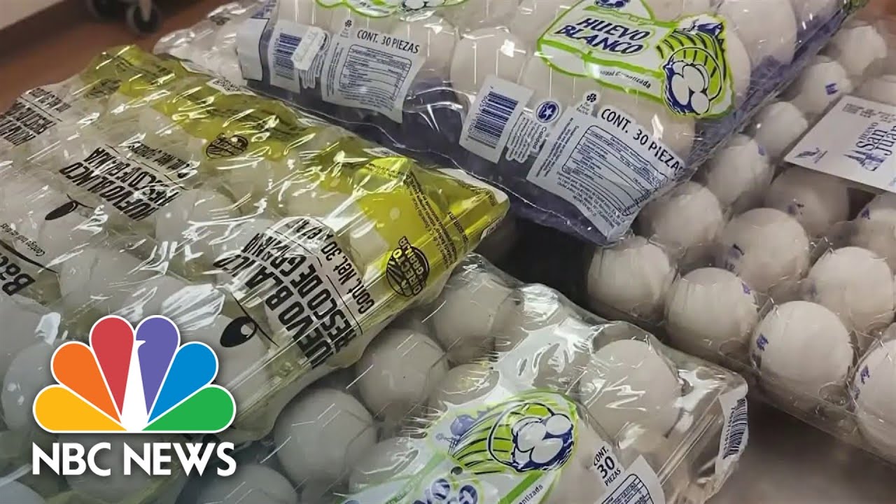 U.S. Border Patrol sees rise in egg interceptions amid soaring costs thumbnail