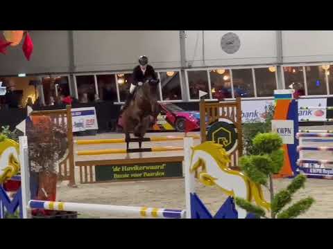 O’Connor TN (v Ogano Site) & Kars Bonhof - hengstencompetitie Vragender 2023