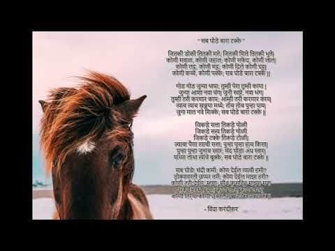 Swapneel Mohite Marathi Voice Over - Sab Ghode Bara Takke