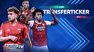 Waldschmidt zu Benfica / Arsenal holt Willian / Thiago will weiterhin zu Liverpool | TRANSFERMARKT