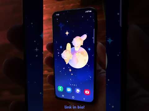 Moon Cats