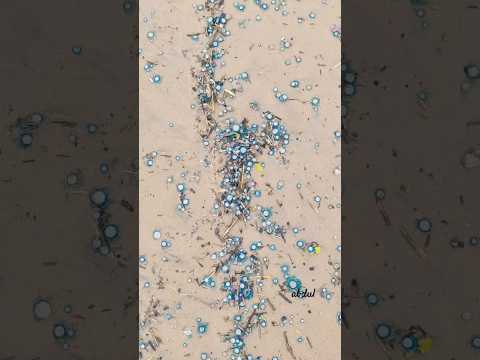 Madanur beach #indianbeach#beach# whatsappstatus #beachvibes#vibes  #prakasamdistrict #beachview