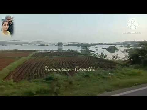 Lake water // 🌧 Rain water // AK.Gomathi