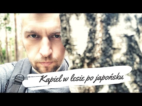 Krótki leśny spacer i co to Shinrin - yoku ?