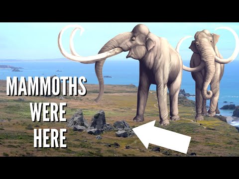 Finding the ice age mammoth rocks