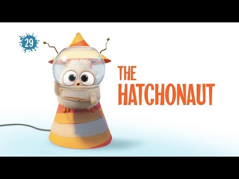 Angry Blue Birds - The Hatchonaut