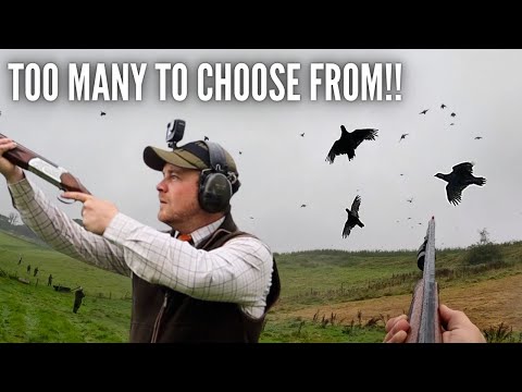 PARTRIDGE SHOOT WITH .410 GAUGE!! | WINSCOMBE SHOOT, DORSET 🇬🇧