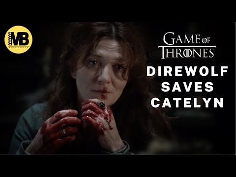 Direwolf Summer Saves Catelyn Stark from Assassin Sent to Kill Bran Stark - Game of Thrones GOT