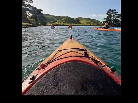 Island cleanup #savetheplanet  #island #seakayaking #newzealand
