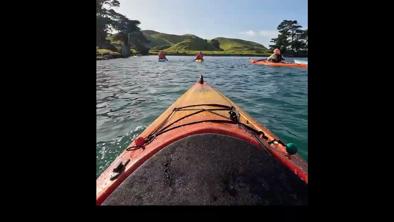 Island cleanup #savetheplanet #island #seakayaking #newzealand