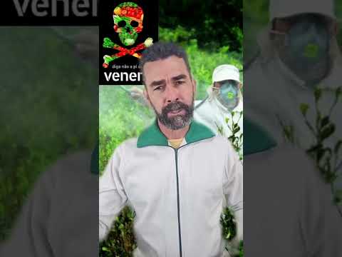 Não ao Pacote do Veneno (PL 6299/02)