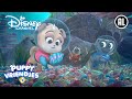 Puppyvriendjes | Een Speciale Schelp | Disney Channel NL