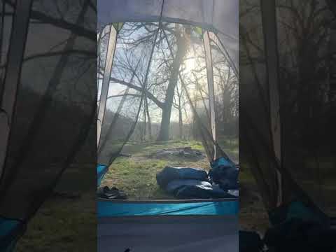campsite hidden behind one of the vault toilets