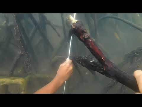 SE01EP031 MGA SAMARAL SA BAKAWAN