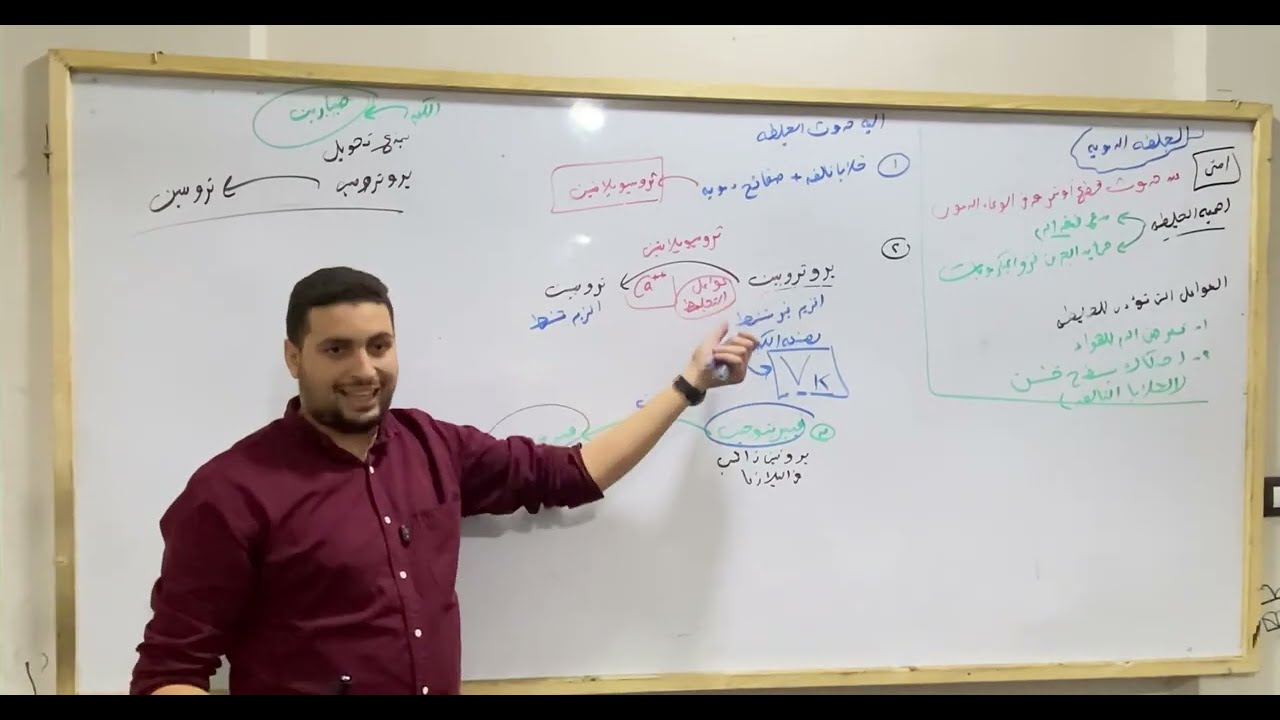 ازاي الجلطة الدموية بتتكون افهم مراحل تكوين الجلطة /ومعرفةضغط الدم احياء