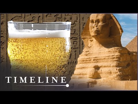 download lagu mp3 mp4 Beer Brewing Timeline, download lagu Beer Brewing Timeline gratis, unduh video klip Beer Brewing Timeline