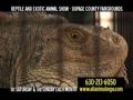 Scott Smith S All Animal Show TV Commercial