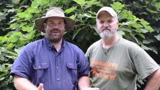 preview picture of video 'J&J Acres visits Alderman Farms'
