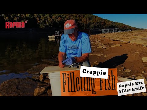 Filleting a crappie with more power and increased torque featuring Rapala R12 Lithium Fillet Knife