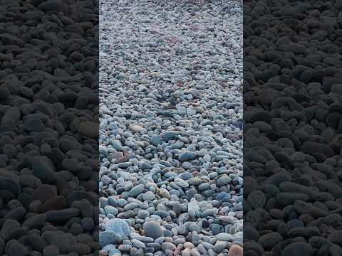 Look at all those rocks!! Did I miss any agates? #yooperlites #rockhound #fluorescent #dark