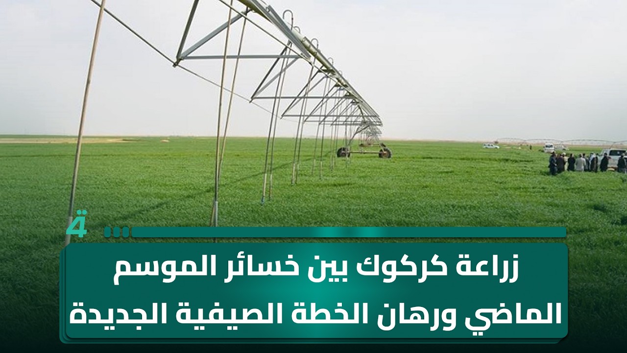فيديو | زراعة كركوك بين خسائر الموسم الماضي ورهان الخطة الصيفية الجديدة