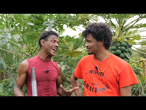 MAKILAKI, Homem di Cultura y Agricultura. VALE PENA VER