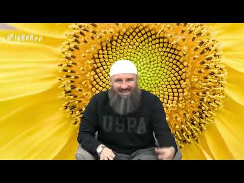 Gdje je Allah, ima li Allah ruke? - Elvedin Pezić