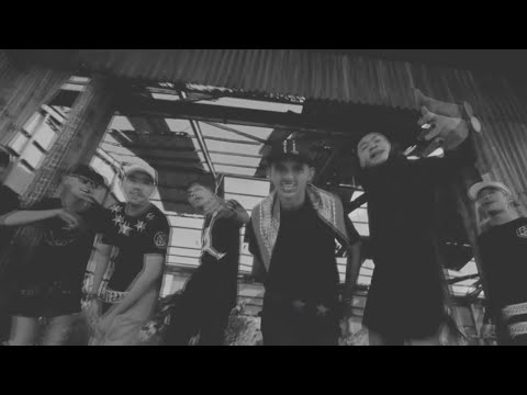 SAPA KANAPA SAPA - KINGLISKA MIX  (AKO FAREX  X GRIZLLY)