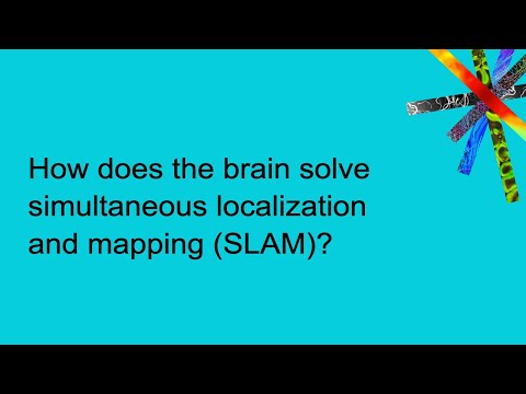 How does the brain solve simultaneous localization and mapping (SLAM)?