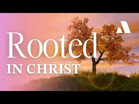 Rooted in Christ | Abide Sleep Meditation & Bible Story for Peaceful Rest