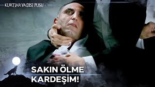 Download lagu Memati'nin Düğünü ve Ölümü |Kurtlar Vadisi Pusu mp3