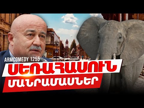ArmComedy 1255 - Սեռահասուն մանրամասներ