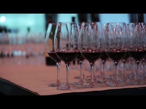 Master Sommelier vs Master of Wine