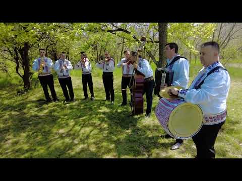 Live Orchestra Fratii Sandru