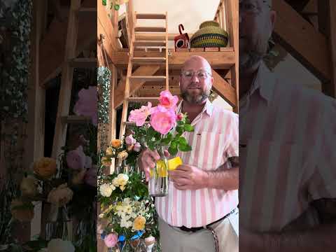 My all new top 20 most recommended @david_austin_roses 2024 #gardenerben