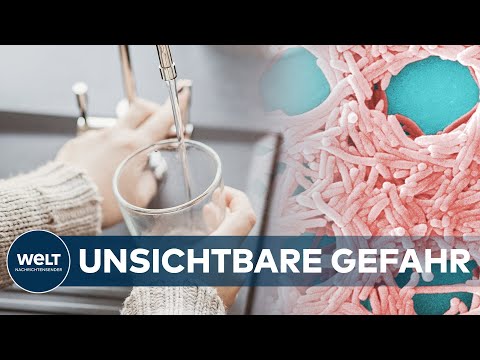 Unsichtbare GEFAHR: LEGIONELLEN - Bakterien lieben niedrige Wassertemperatur