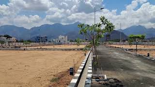  Residential Plot for Sale in Melachokkanathapuram, Theni