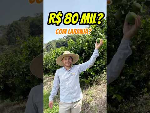 R$ 80 MIL com laranja? Dá dinheiro mesmo no citrus?#citrus