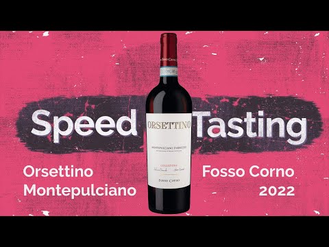 Der perfekte Pizzawein - Montepulciano für unter 10 € | Vier Flaschen Speedtasting