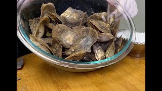 A Bowl Of Pearl Oysters! (Reveals 9426 - 9439)