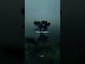 Numb Little Bug Em Beihold Lyrics Aesthetic English Songs Slowed Whatsapp Status Viral