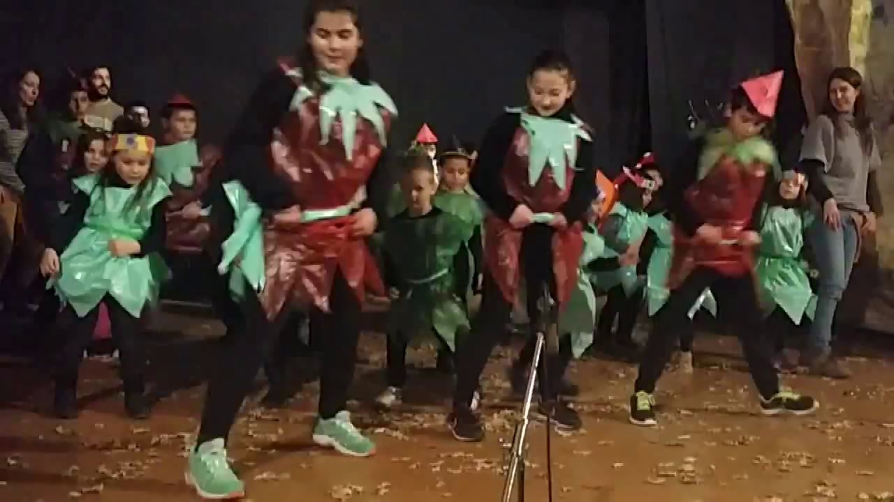 2016 👯 Alpens, balla la Flashmob de 'La Marató'
