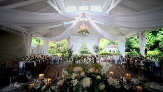 Vendor | Inspiration - 44370
