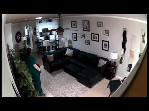 Attempt to Identify Palm Harbor Burglary Suspect  SO17- 218158