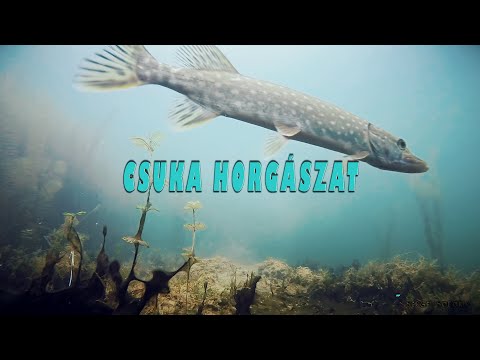 Vadkaland (9.rész) - CSUKA HORGÁSZAT