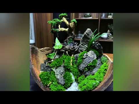 I built Terrarium in Broken pot #terrarium #landscape #terrariumart #paludarium